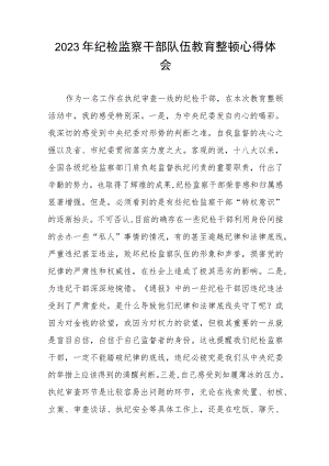 2023年纪检监察干部队伍教育整顿活动的心得体会7篇.docx