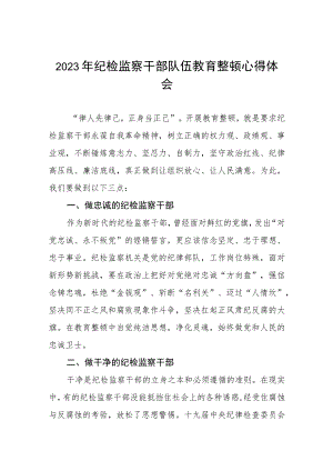 2023全国纪检监察干部队伍教育整顿心得体会七篇模板.docx