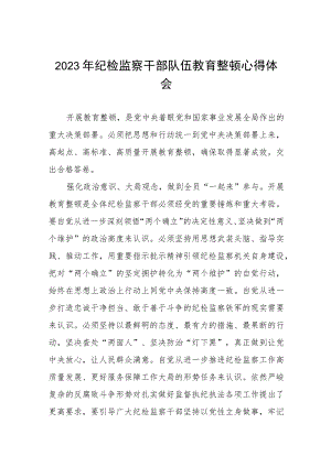 2023全国纪检监察干部队伍教育整顿的心得体会感悟材料八篇.docx