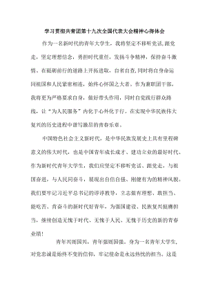 骨干教师学习贯彻共青团第十九次全国代表大会精神个人心得体会 （8份）.docx