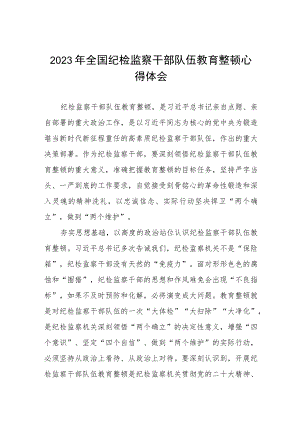 最新版2023年全国纪检监察干部队伍教育整顿心得体会七篇合集.docx