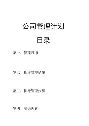 公司管理计划.docx