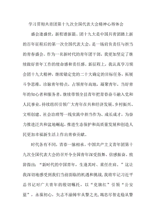 共青团员学习贯彻共青团第十九次全国代表大会精神个人心得体会 六篇 (汇编).docx