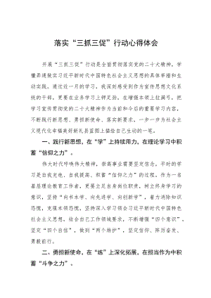 落实“三抓三促”行动心得体会八篇.docx