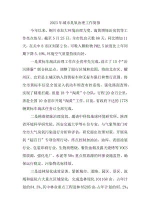 2023年城市臭氧治理工作简报1.docx