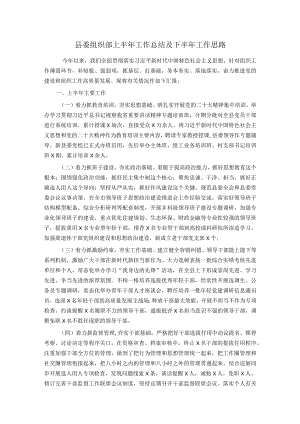 县委组织部上半年工作总结及下半年工作思路.docx