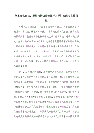 坚定文化自信凝聚精神力量专题学习研讨交流发言稿两篇.docx