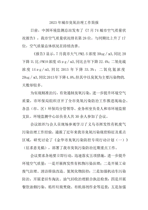 2023年城市臭氧治理工作简报.docx
