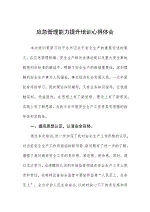 2023年应急管理能力提升培训心得体会.docx
