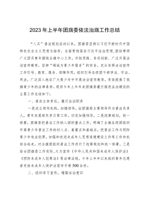 2023年上半年团旗委依法治旗工作总结.docx