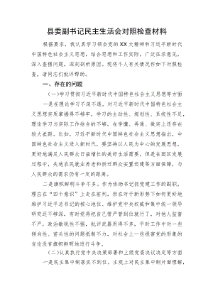 县委副书记民主生活会对照检查材料.docx