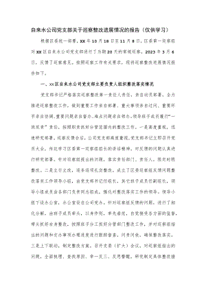 2023自来水公司党支部关于巡察整改进展情况的报告.docx