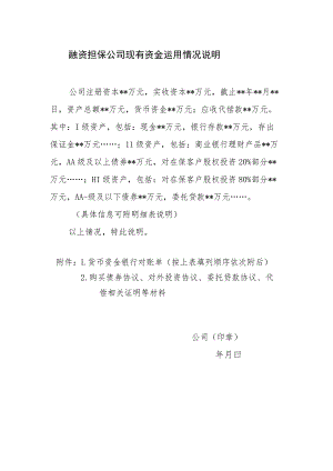 融资担保公司现有资金运用情况说明.docx