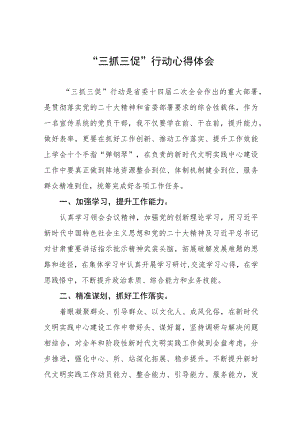 三抓三动心得体会八篇.docx