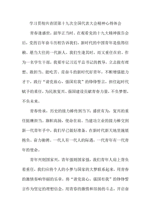 国企单位学习贯彻共青团第十九次全国代表大会精神心得体会 （8份）.docx