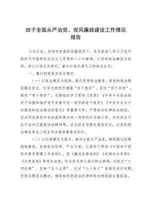 党支部2023年上半年全面从严治党、党风廉政建设工作情况报告范文.docx