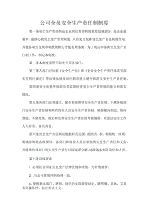 公司全员安全生产责任制制度.docx