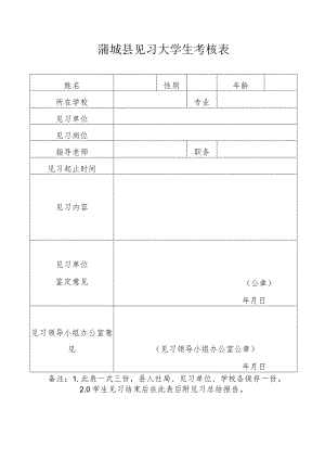 蒲城县见习大学生考核表.docx