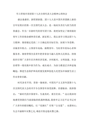 街道社区学习贯彻共青团第十九次全国代表大会精神心得体会 （8份）.docx