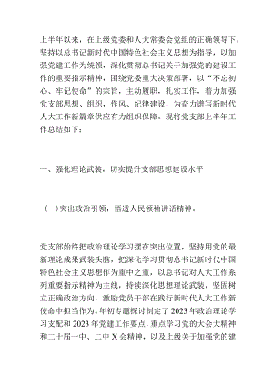 人大党支部2023年上半年基层党建工作总结和下半年工作计划.docx