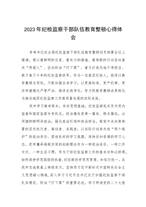 2023纪检监察干部队伍教育整顿的心得体会七篇.docx