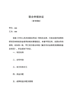 联合申报协议.docx