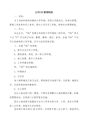 2023公司5S管理制度.docx