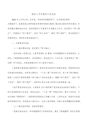 税务上半年意识工作总结.docx