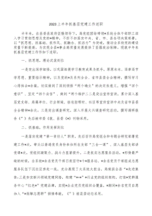 2023上半年抓基层党建工作述职.docx
