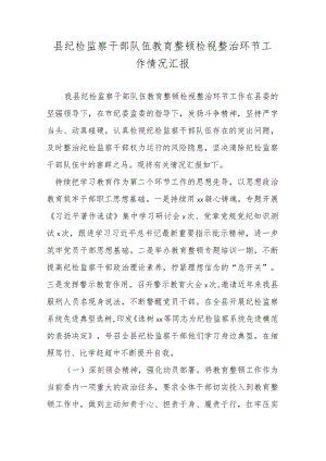 县纪检监察干部队伍教育整顿检视整治环节工作情况汇报.docx