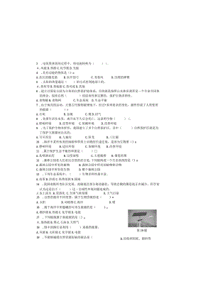 六年级科学期末复习测试卷.docx