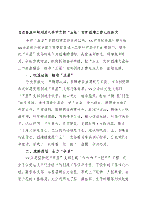 自然资源和规划局机关党支部五星支部创建工作汇报总结报告工作经验.docx