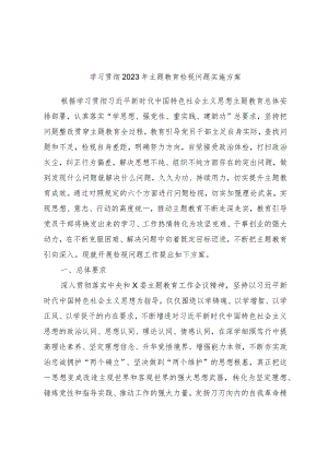学习贯彻2023年主题教育检视问题实施方案.docx