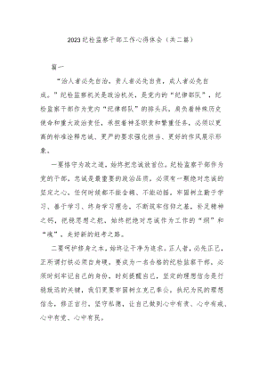 2023纪检监察干部工作心得体会(共二篇).docx