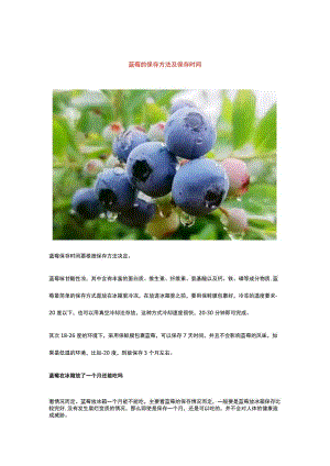 蓝莓的保存方法及保存时间.docx