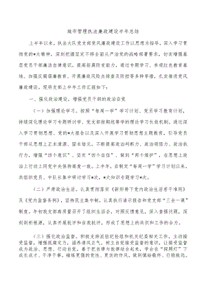 城市管理执法廉政建设半年总结.docx