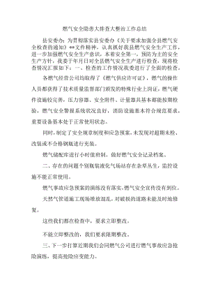 燃气安全隐患大排查大整治工作总结.docx