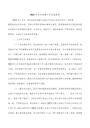 2023年半年党建工作自查报告.docx