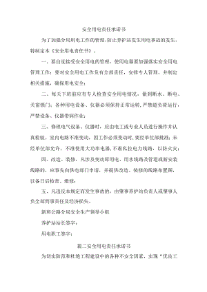 安全用电责任承诺书汇编四篇.docx