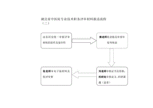 湖北省中医院专业技术职务评审材料报送流程二.docx