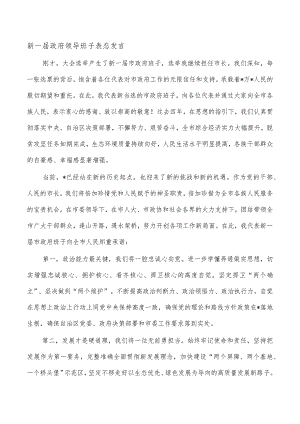 新一届政府领导班子表态发言.docx