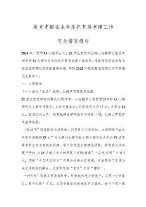 某党支部在本年度抓基层党建工作有关情况报告.docx
