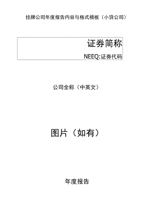 挂牌公司年度报告内容与格式模板小贷公司.docx