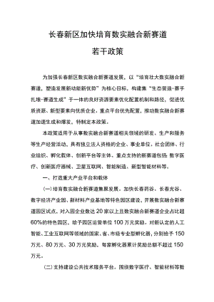 长春新区加快培育数实融合新赛道若干政策.docx