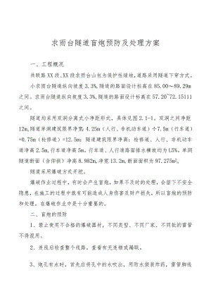 求雨台隧道盲炮预防及处理方案.docx