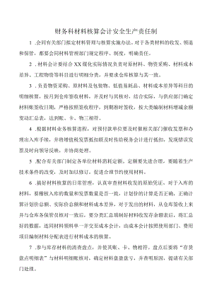 财务科材料核算会计安全生产责任制.docx