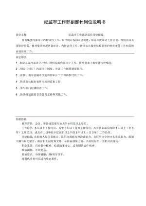 纪监审工作部副部长岗位说明书.docx