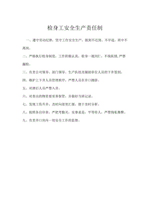 检身工安全生产责任制模板范本.docx