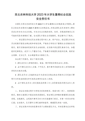 西北农林科技大学2023年大学生暑期社会实践安全责任书.docx