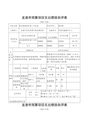龙港市预算项目支出绩效自评表.docx